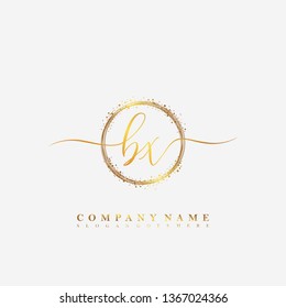 BX Initial luxury handwriting logo vector