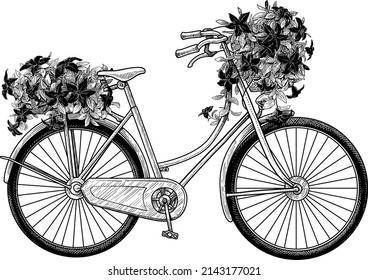 Bycicle decorated with flowers illustration, drawing, engraving, ink, line art, vector