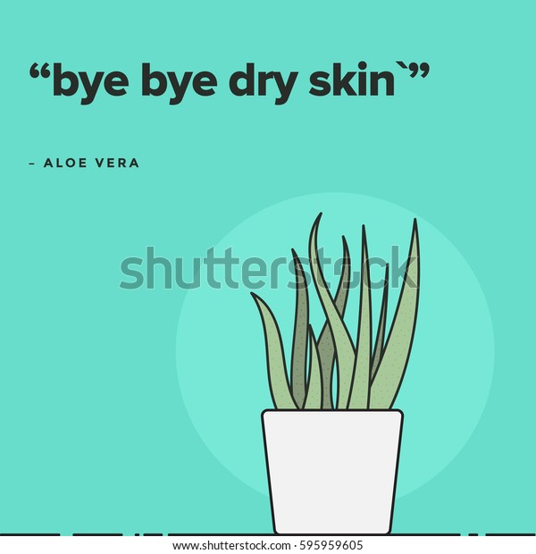 Bye Bye Dry Skin Aloe Vera Stock Vector Royalty Free 595959605