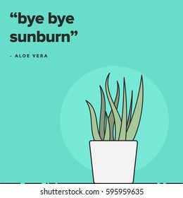 Bye Bye Sunburn. Aloe Vera Message. Vector Illustration Aloe Vera Plant.