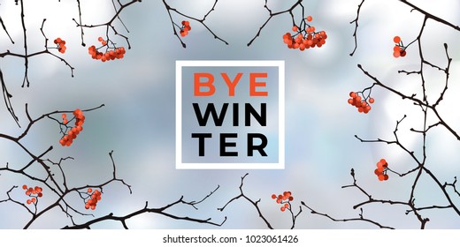 Bye Winter with Rowan berries on twigs vector illustration.