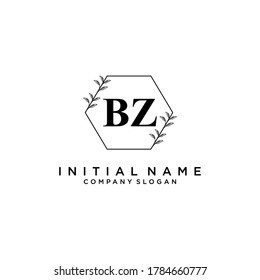 BZ Beauty vector initial logo, handwriting logo of initial signature, wedding, fashion, jewerly, boutique, floral and botanical with creative template for any company or business.