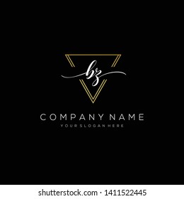 BZ handwriting initial logo template vector.