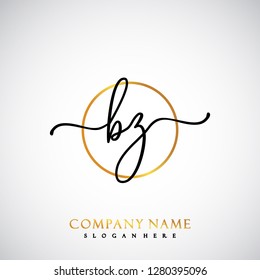 BZ Initial Handwriting logo template vector
