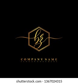 BZ Initial luxury handwriting logo vector