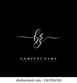 BZ Initial luxury handwriting logo vector