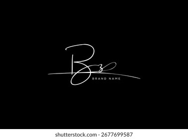 BZ letter elegant cursive beauty handwriting logo.