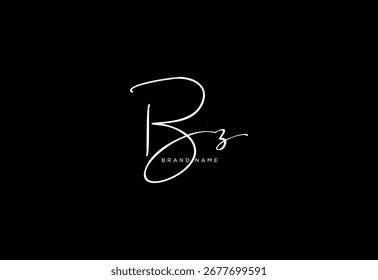 BZ letter elegant cursive beauty handwriting logo.
