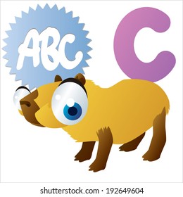 C is for Capybara