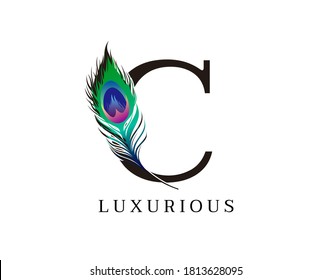 C Letter Decorated With Exotic Peacock Feather. 