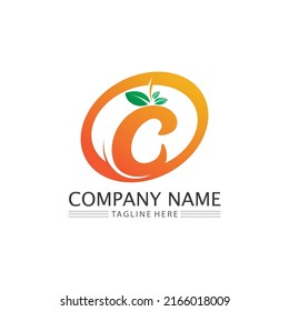 C Letra logotipo y tipo de letra C Diseño de iconos vectoriales de plantilla