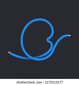 C letter made shoelace. Vector isolated font for app logo, sport design, creative template and more