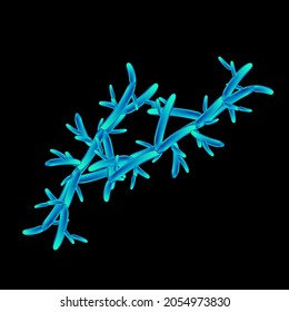 C. pseudotropicalis candida. Pathogenic yeast-like fungi of the Candida type morphological structure. Vector illustration