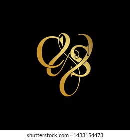 C & S / CS logo initial vector mark.