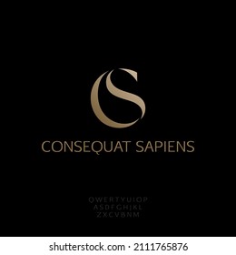 C and S monogram, luxury brand CS letters, logo design template, vector illustration