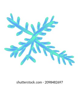 C. utilis candida. Pathogenic yeast-like fungi of the Candida type morphological structure. Vector illustration