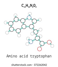 C11H12N2O2 Amino Acid Tryptopha Molecule