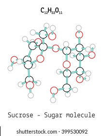 C12H22O11 Sucrose Sugar Molecule