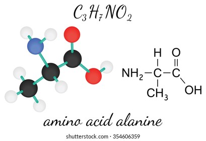 C3H7NO2 alanine 3d amino acid molecule isolated on white