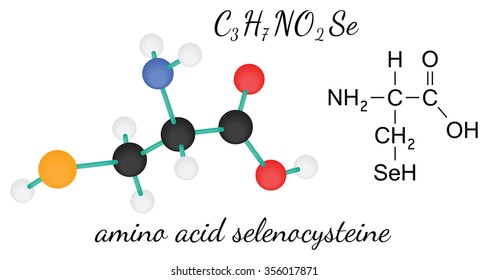 C3H7NO2Se selenocysteine 3d amino acid molecule isolated on white