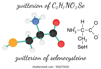 C3H7NO2Se zwitterion of selenocysteine 3d amino acid molecule isolated on white