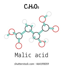 C4H6O5 Malic acid molecule
