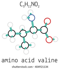 C5H11NO2 valine amino acid molecule