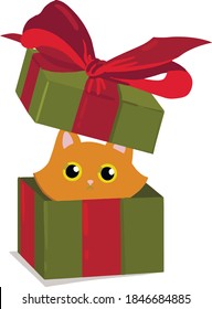 Ca in box Christmas vector present