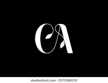 CA Logo Design Creative and Modern Logo Design

