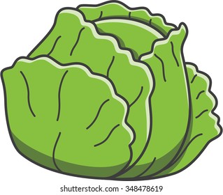 Cabbage