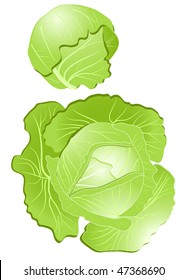 cabbage