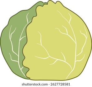Cabbage among healthy and fresh vegetables