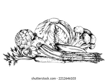 Cabbage, artichoke and broccoli vegetable arrangement. Black and white hand drawn vector illustration.