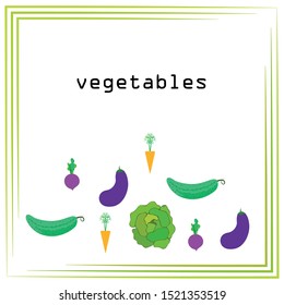 Cabbage, beet, carrot, eggplant, cucumber, fresh vegetables. Organic food poster. Farmer market design. Vector background