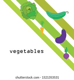 Cabbage, beet, carrot, eggplant, cucumber, fresh vegetables. Organic food poster. Farmer market design. Vector background