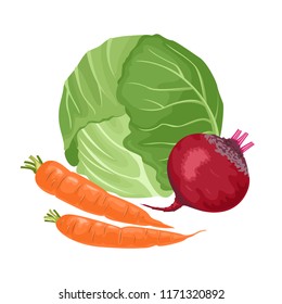 Cabbage, beet, carrot isolated on white background. Vector color illustration of fresh vegetables in a flat style. Healthy food.