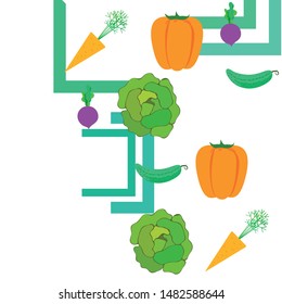 Cabbage, beet, carrot, pepper, cucumber, fresh vegetables. Organic food poster. Farmer market design. Vector background.