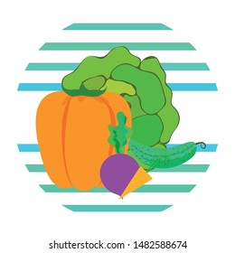 Cabbage, beet, carrot, pepper, cucumber, fresh vegetables. Organic food poster. Farmer market design. Vector background.