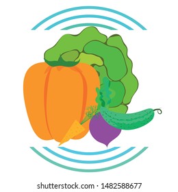 Cabbage, beet, carrot, pepper, cucumber, fresh vegetables. Organic food poster. Farmer market design. Vector background.
