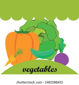 Cabbage, beet, carrot, pepper, cucumber, fresh vegetables. Organic food poster. Farmer market design. Vector background.