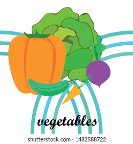 Cabbage, beet, carrot, pepper, cucumber, fresh vegetables. Organic food poster. Farmer market design. Vector background.
