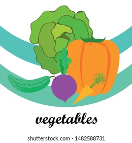 Cabbage, beet, carrot, pepper, cucumber, fresh vegetables. Organic food poster. Farmer market design. Vector background.