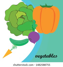 Cabbage, beet, carrot, pepper, cucumber, fresh vegetables. Organic food poster. Farmer market design. Vector background.