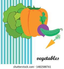 Cabbage, beet, carrot, pepper, cucumber, fresh vegetables. Organic food poster. Farmer market design. Vector background.