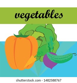 Cabbage, beet, carrot, pepper, cucumber, fresh vegetables. Organic food poster. Farmer market design. Vector background.