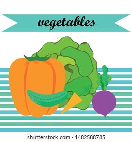 Cabbage, beet, carrot, pepper, cucumber, fresh vegetables. Organic food poster. Farmer market design. Vector background.