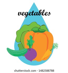 Cabbage, beet, carrot, pepper, cucumber, fresh vegetables. Organic food poster. Farmer market design. Vector background.
