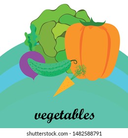 Cabbage, beet, carrot, pepper, cucumber, fresh vegetables. Organic food poster. Farmer market design. Vector background.