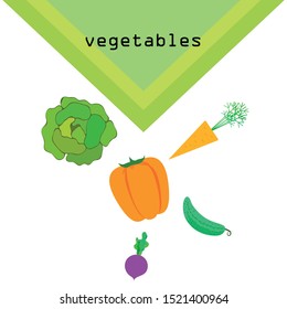 Cabbage, beet, carrot, pepper, cucumber, fresh vegetables. Organic food poster. Farmer market design. Vector background.
