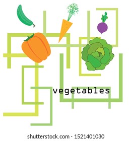 Cabbage, beet, carrot, pepper, cucumber, fresh vegetables. Organic food poster. Farmer market design. Vector background.